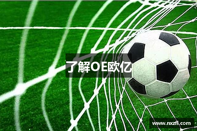 了解OE欧亿